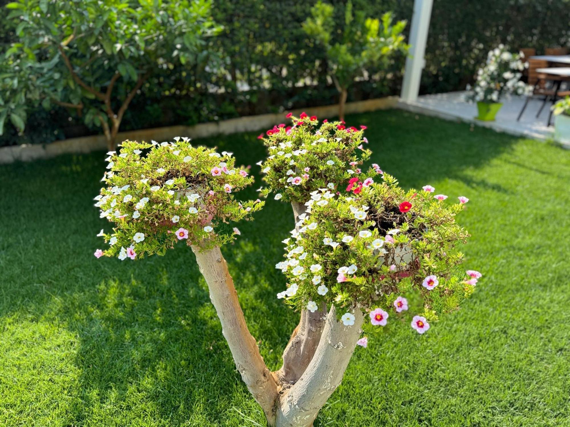 Villa Ax Mirage Vlorë 외부 사진